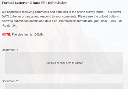 Screenshot: formal letter and data file submission page of the form.