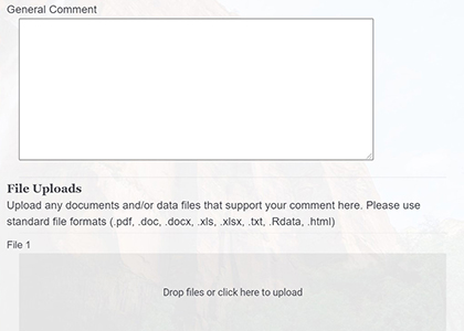 Screenshot: comment field entitled General Comment.