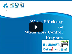 YouTube: Drinking Water Webinar: Water Efficiency and Water Loss Control Program