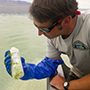 Image of a scientist sampling along the Great Salt Lake