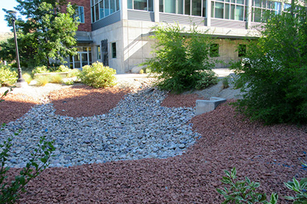 Bioretention basin located near Frederick Albert Sutton building at the University of Utah.