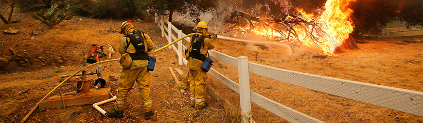 Firefighters and wildfire