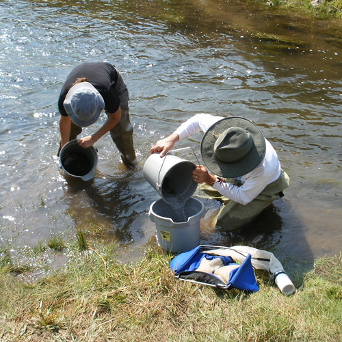 Scientists from the Division of Water Quality take samples to check for E. coli