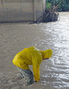 DEQ scientist sampling the San Juan River in rainy weather