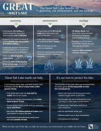 Great Salt lake benefits our economy, our environment, and our ecology flyer