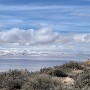 Shore along the Great Salt Lake