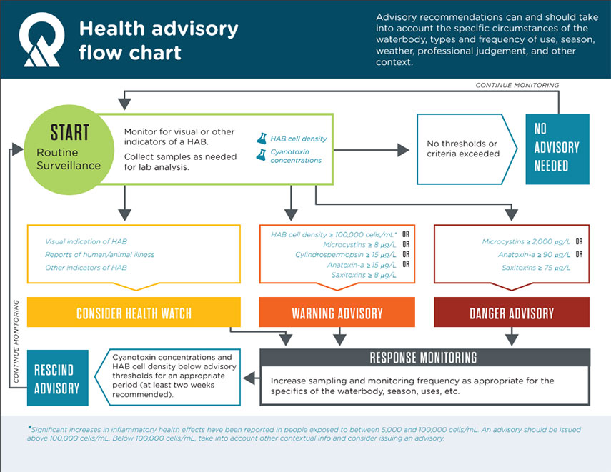 Harmful Algal Blooms Health Advisory Flowchart