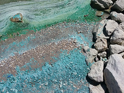Harmful Algal Blooms Example: "Blue-Green Residue"