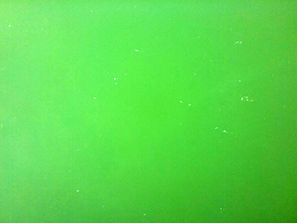 Harmful Algal Bloom Example: "Bright Green"