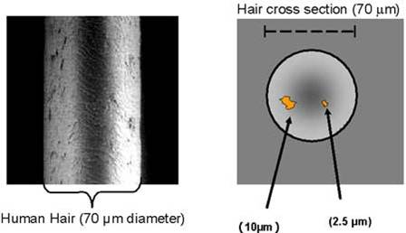 Old-timey, blurry illustration of how PM2.5 compares in size to a strand of human hair.