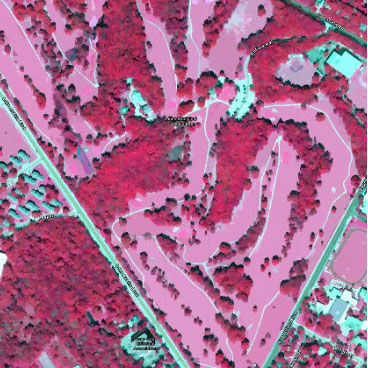 Improved Vegetation Data for the Biogenic Emission Inventory of Wasatch Front