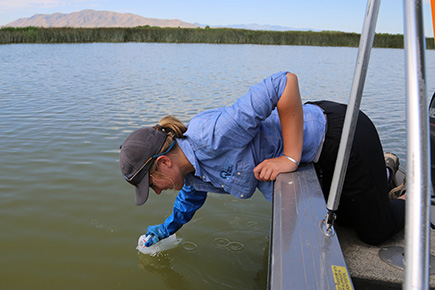 Sampling a Harmful Algal Bloom on Utah Lake