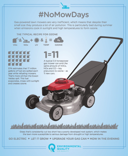 No Mow Day infographic