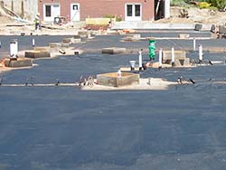 Liner covered with asphalt material.