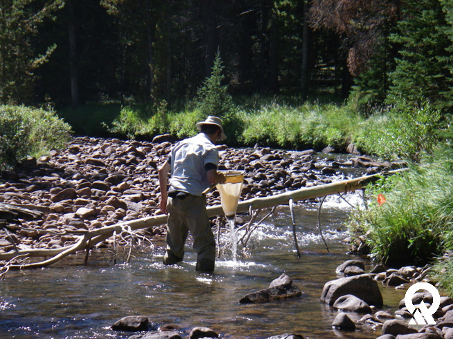 Water quality sampling