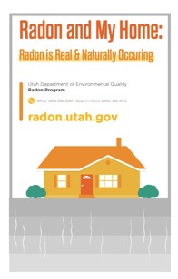 Screenshot of the Radon and My Home Realtor Brochure PDF