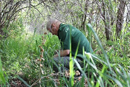 Kevin Okleberry takes soil samples in American Fork