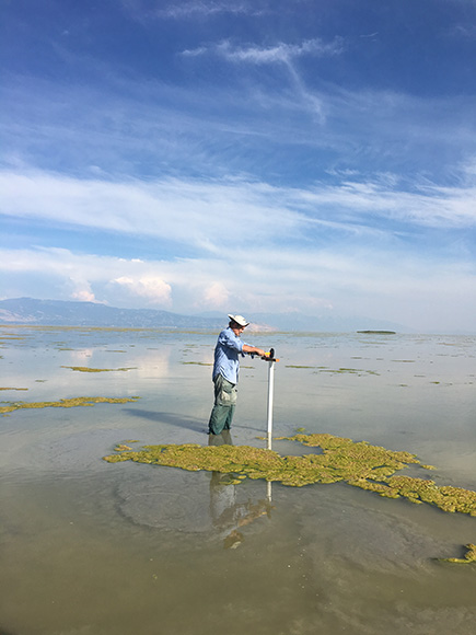 Utah Lake: person with a monitor