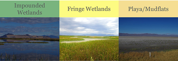 Wetland Targets