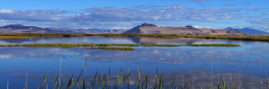 Impounded wetland at Bear River Migratory Bird Refuge