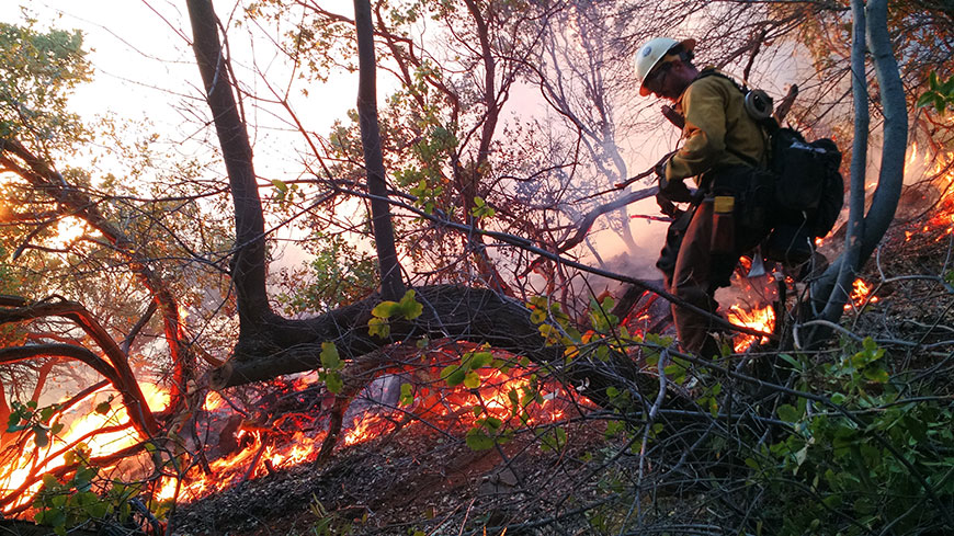 Wildfire Photo by Lone Peak Conservation Center