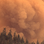 Track Air Quality Conditions Wildfire Dashboard Icon