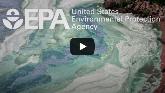 Nutrient Pollution YouTube video published by the U.S. EPA